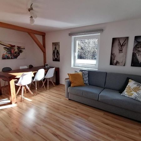 דינטן אם הוכקוניג Apartment In Dienten With Mountain Views מראה חיצוני תמונה