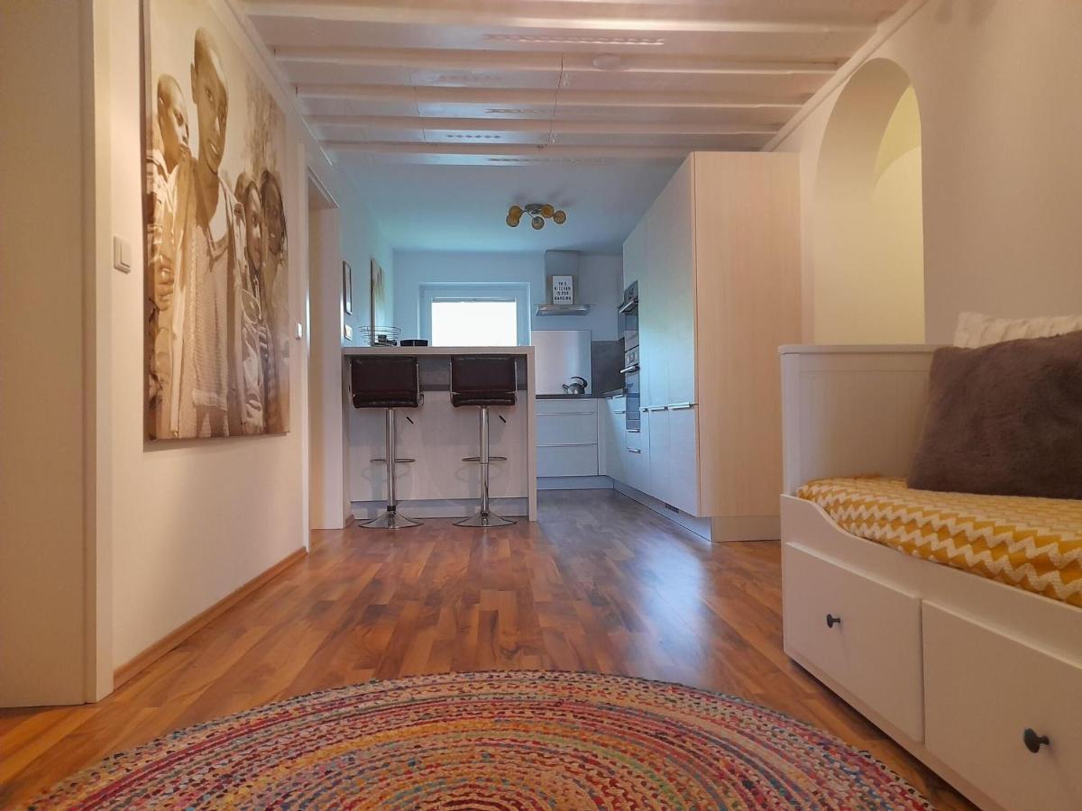 דינטן אם הוכקוניג Apartment In Dienten With Mountain Views מראה חיצוני תמונה