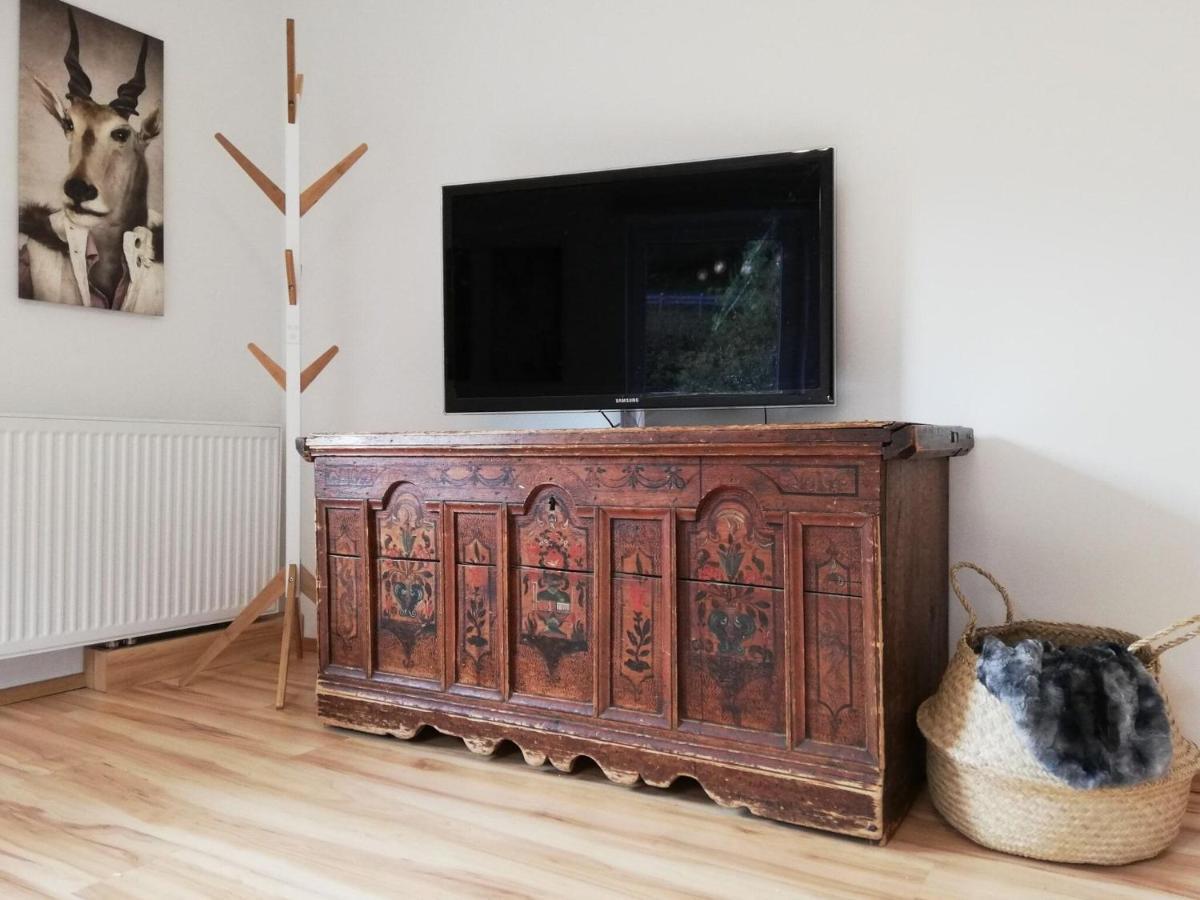 דינטן אם הוכקוניג Apartment In Dienten With Mountain Views מראה חיצוני תמונה