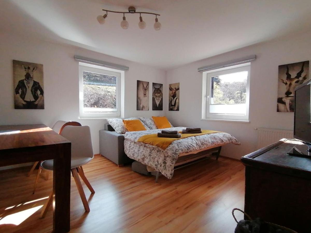 דינטן אם הוכקוניג Apartment In Dienten With Mountain Views מראה חיצוני תמונה