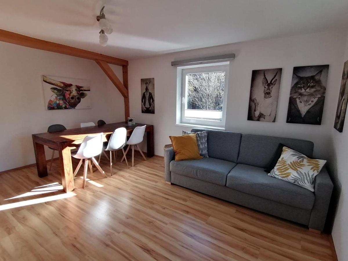 דינטן אם הוכקוניג Apartment In Dienten With Mountain Views מראה חיצוני תמונה