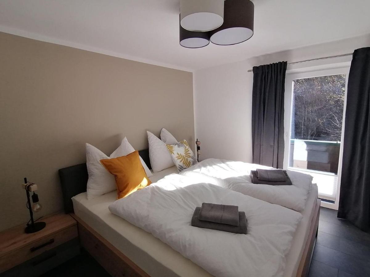 דינטן אם הוכקוניג Apartment In Dienten With Mountain Views מראה חיצוני תמונה